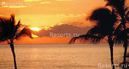Mermaid Hotel & Club 15